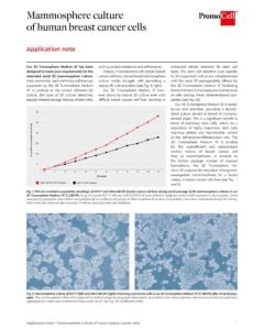 Mammosphere culture of human breast cancer cells