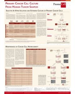 Primary cancer cell culture from human tumor samples