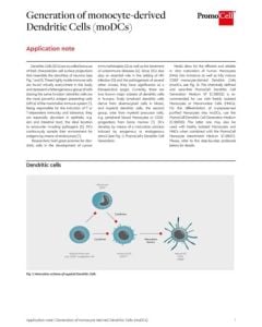 Generation of monocyte-derived Dendritic Cells (moDCs)