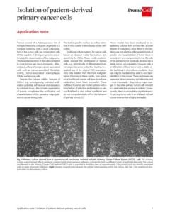 Isolation of patient-derived primary cancer cells