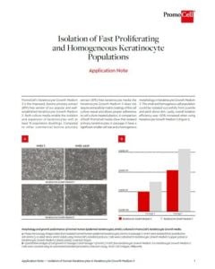 Isolation of fast proliferating and homogeneous keratinocyte populations