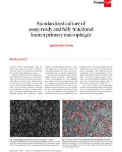 Standardized culture of assay-ready and fully functional human primary macrophages