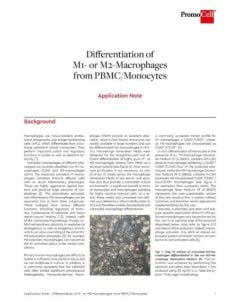 Differentiation of M1- or M2-Macrophages from PBMC/Monocytes
