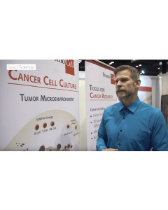 Obtain Pure Malignant Cells with the New Cancer Cell Culture Toolkit