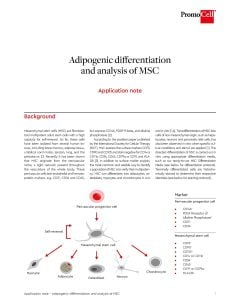 Adipogenic differentiation and analysis of mesenchymal stem cells (MSC)