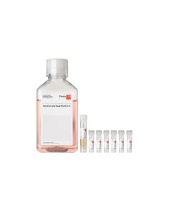 Keratinocyte Growth Medium 2 Kit