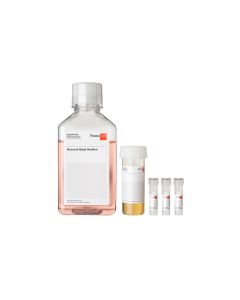 Myocyte Growth Medium Kit