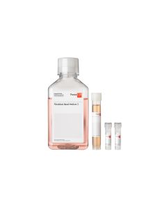 Fibroblast Growth Medium 3 Kit