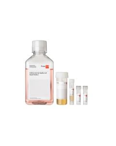 Follicle Dermal Papilla Cell Growth Medium Kit