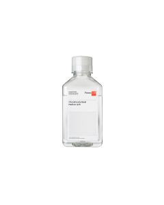 Chondrocyte Basal Medium, phenol red-free