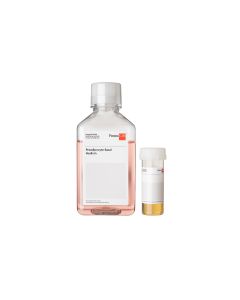 Preadipocyte Growth Medium (Ready-to-use)