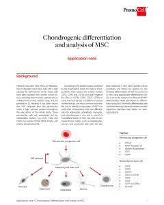 Chondrogenic differentiation and analysis of mesenchymal stem cells (MSC)
