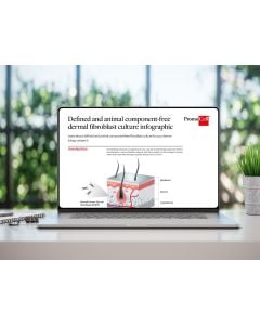 Defined and animal component-free dermal fibroblast culture