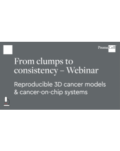 From clumps to consistency: Advancing reproducible 3D cancer models