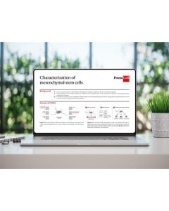 Laptop showing a poster "Characerization of mesenchymal stem cells".