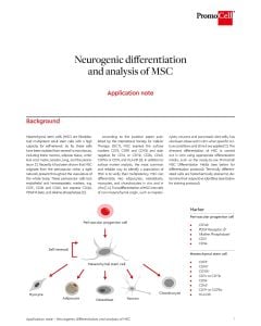 Neurogenic differentiation and analysis of mesenchymal stem cells (MSC)