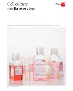 Cell culture media overview