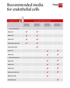 Recommended media for endothelial cells