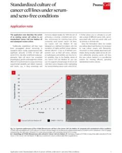 Standardized culture of cancer cell lines under serum and xeno-free conditions