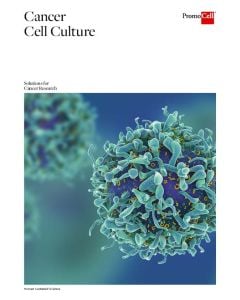 Cancer cell culture