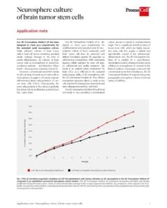 Neurosphere culture of brain tumor stem cells