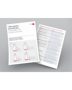 Other species and cell types compatible with PromoCell endothelial cells media