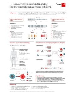 HLA molecules in cancer: Balancing the fine line between cure and collateral
