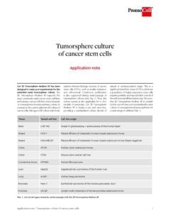 Tumorsphere culture of cancer stem cells