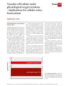 Vascular cell culture under physiological oxygen tensions – implications for cellular redox homeostasis