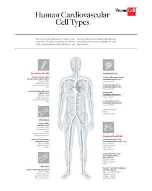 related-reference-product-1276