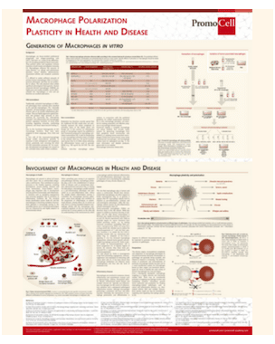 related-reference-product-1285