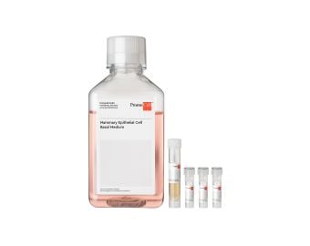 Mammary Epithelial Cell Growth Medium Kit
