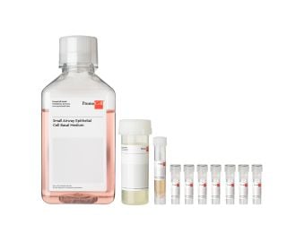Small Airway Epithelial Cell Growth Medium Kit