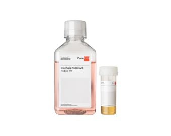 Endothelial Cell Growth Medium MV (Ready-to-use)