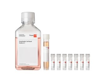 Endothelial Cell Growth Medium 2 Kit