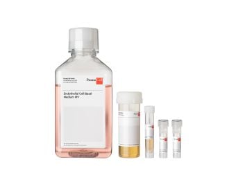 Endothelial Cell Growth Medium MV Kit