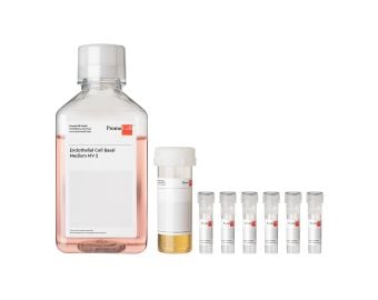 Endothelial Cell Growth Medium MV 2 Kit