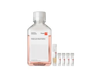 Melanocyte Growth Medium Kit