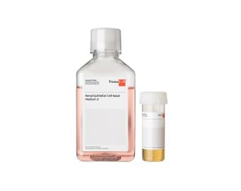 Renal Epithelial Cell Growth Medium 2 (Ready-to-use)