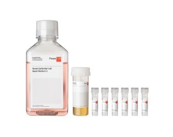 Renal Epithelial Cell Growth Medium 2 Kit