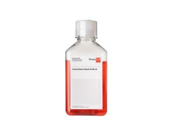 Osteoblast Basal Medium