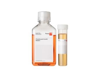 PromoCell Chondrocyte Growth Medium (Ready-to-use)