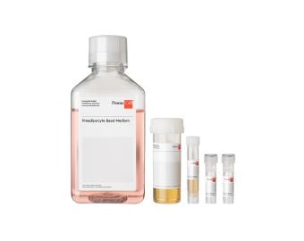 Preadipocyte Growth Medium Kit