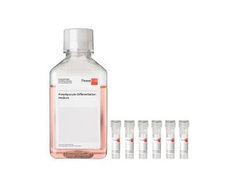 Preadipocyte Differentiation Medium Kit