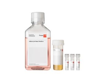 Adipocyte Nutrition Medium Kit