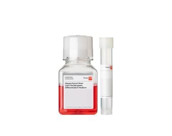 PromoCell Mesenchymal Stem Cell Chondrogenic Differentiation Medium