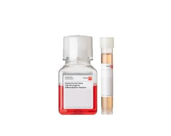 Mesenchymal Stem Cell Neurogenic Differentiation Medium