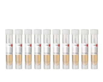 Endothelial Cell Growth Supplement* (bovine hypothalamic extract), 10 x 2 ml