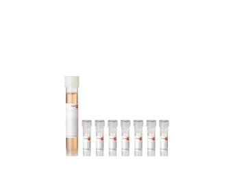 Endothelial Cell Growth Medium 2 SupplementPack