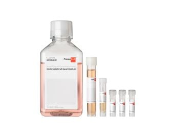 Endothelial Cell Growth Medium Kit
